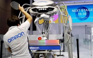 聚焦進(jìn)博會(huì) 三成參展企業(yè)來自“一帶一路”沿線，共繪經(jīng)貿(mào)合作新圖景