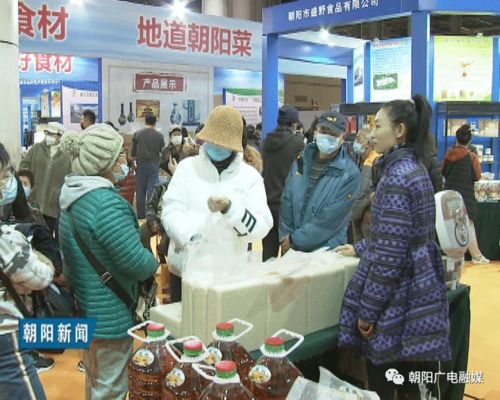 2020朝陽（大連）農(nóng)產(chǎn)品展銷及經(jīng)貿(mào)洽談會(huì)圓滿收官，譜寫區(qū)域合作新篇章